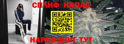 прущий лед Тара