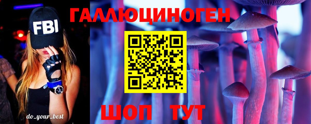 Магазины продажи наркотиков  ЭКСТАЗИ  Каннабис  Гашиш  МЕФ   Кокаин  NBOMe  Вход с VPN  Норильск  АМФ кристаллы  ГАШ 
